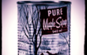 Maple Syrup Sale